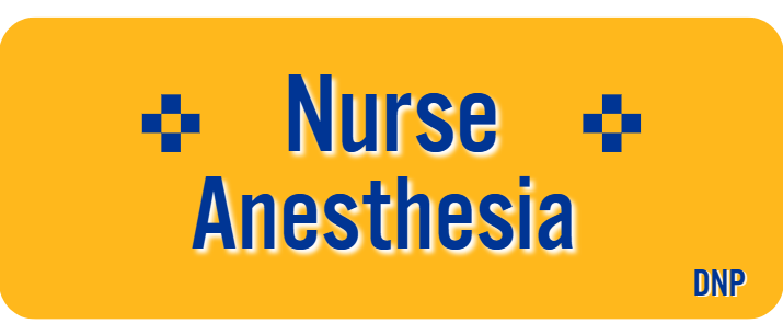 Nurse Anesthesia DNP button