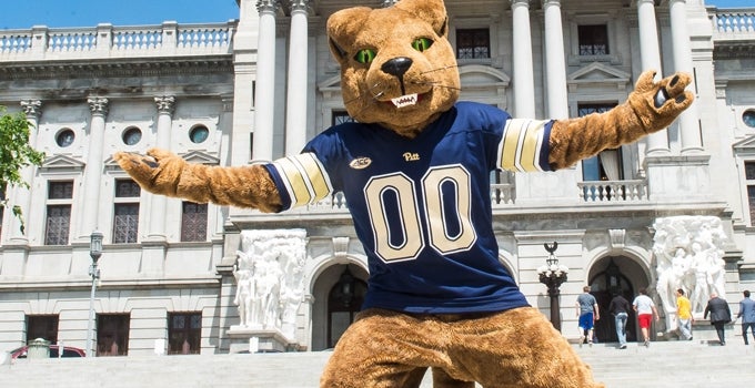 The Pitt Panther