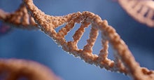 3D rendering of a DNA strand