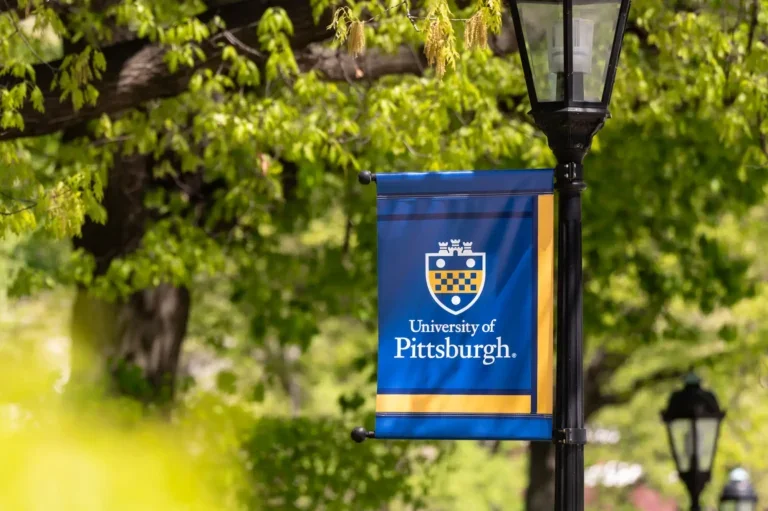 Picture of a University of Pittsburgh banner hanging from a light post of the University campus