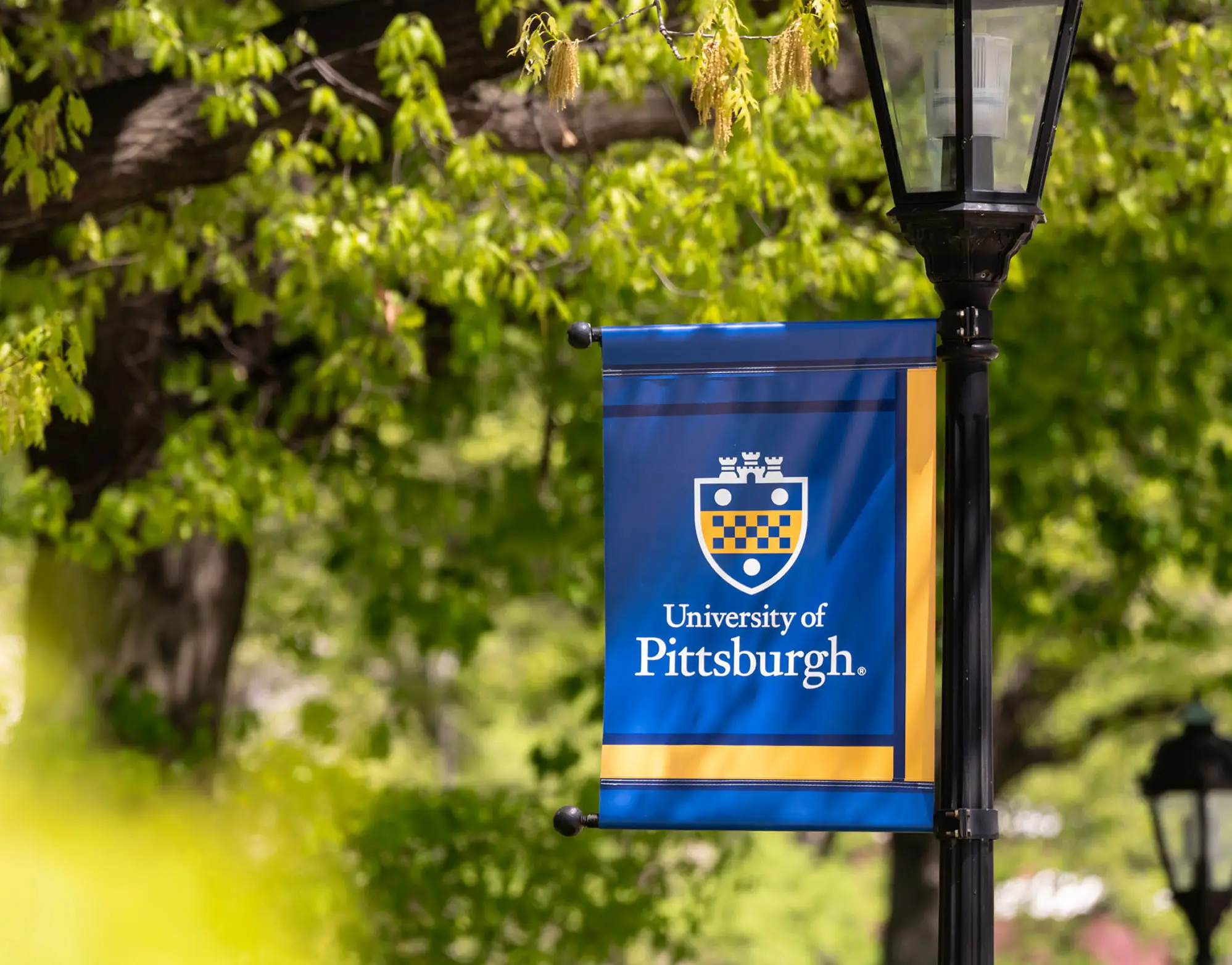 University of Pittsburgh hanging banner